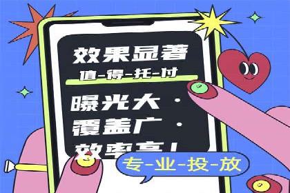 竞价广告与自然搜索的结合策略：XX网站的案例分析